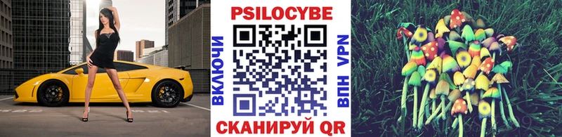Псилоцибиновые грибы Psilocybe  наркошоп  Электроугли 